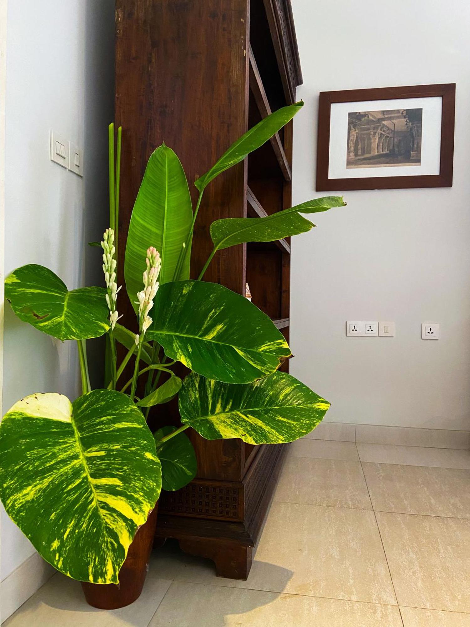 Raaga Samudra Villa Padangbai  Extérieur photo